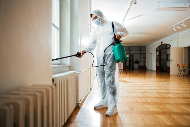 Professional Pest control in Marina Del Rey, CA